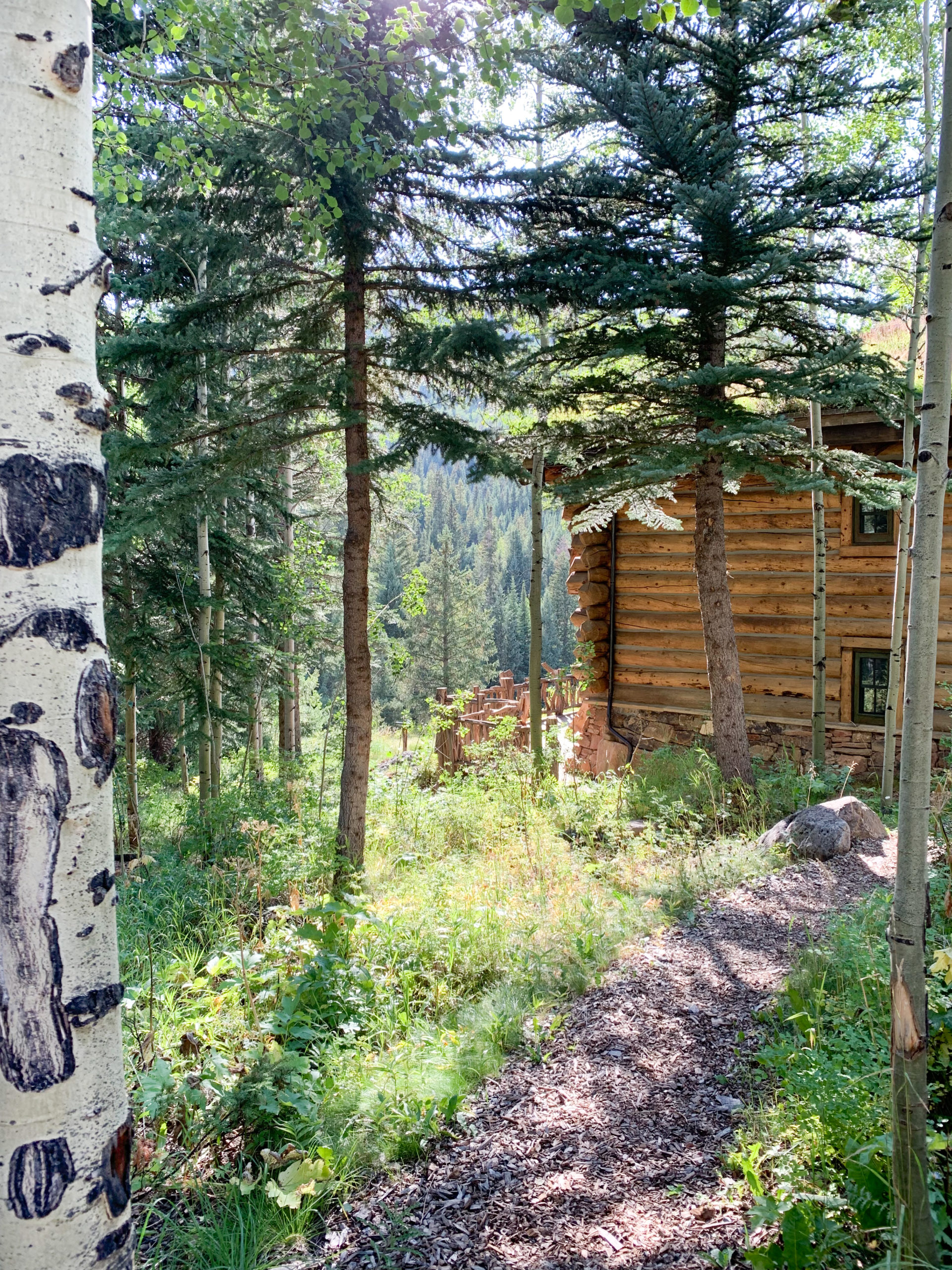 Rustic Cabin in the Woods