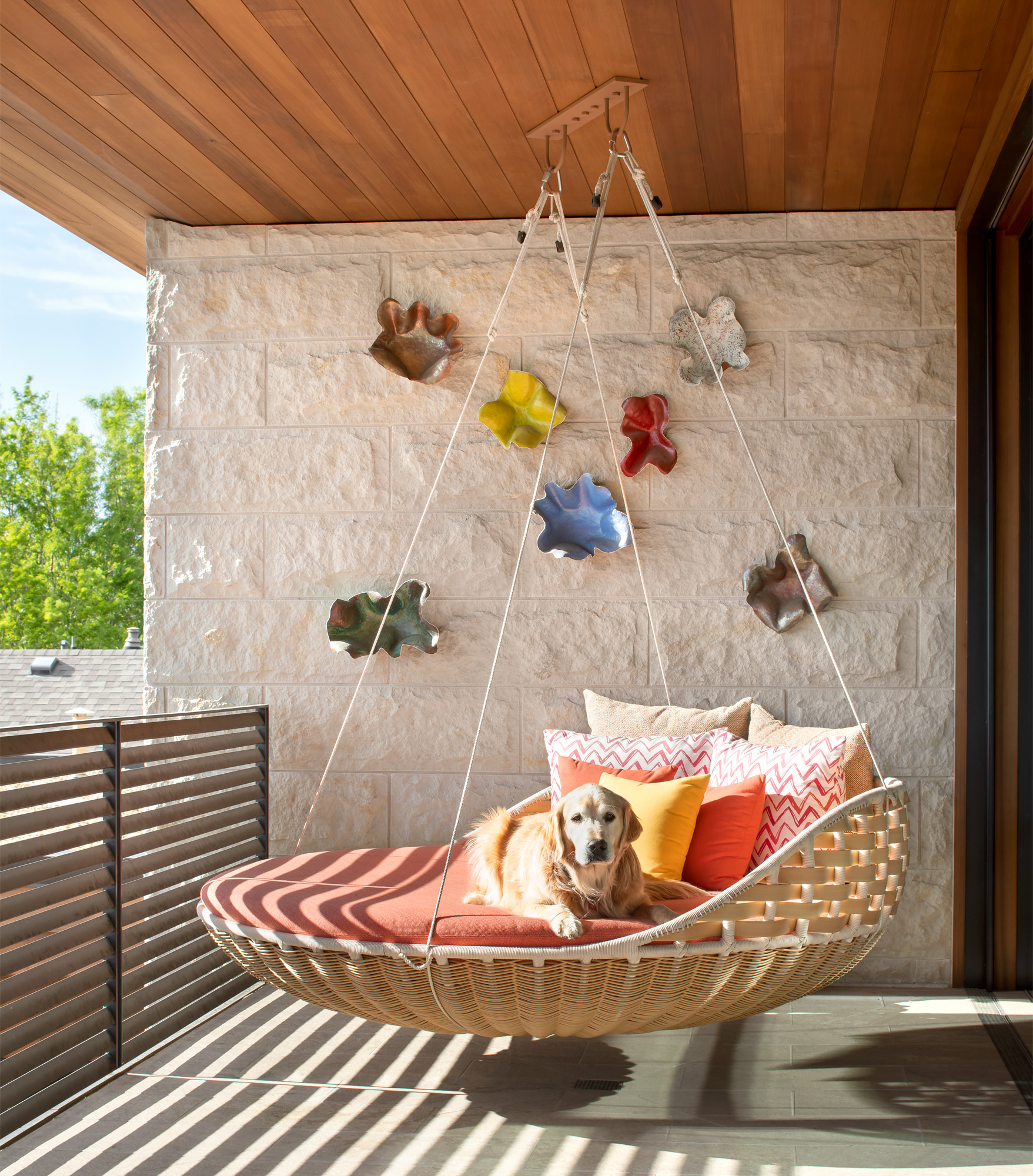 urban color balcony swing with golden retriever